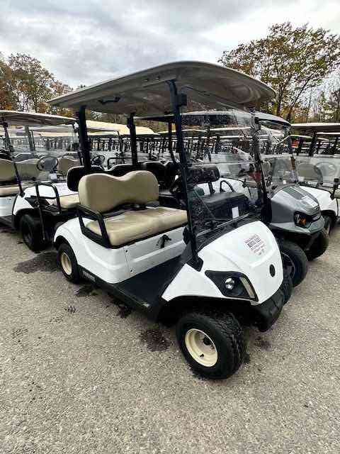 4 Passenger Golf Cart Rentals