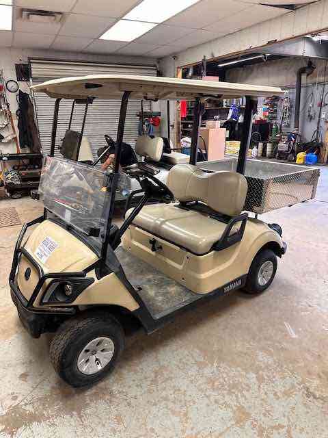 Light Duty Golf Cart Rentals